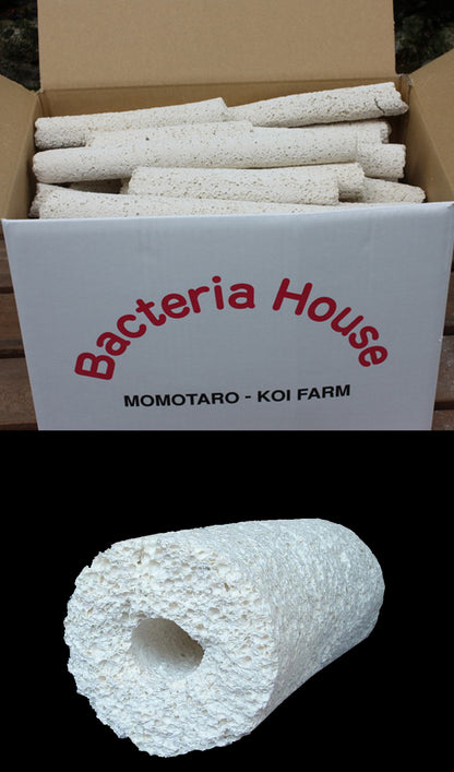 Momotaro Bakki House Media